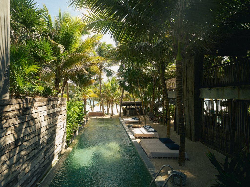 Guest photo