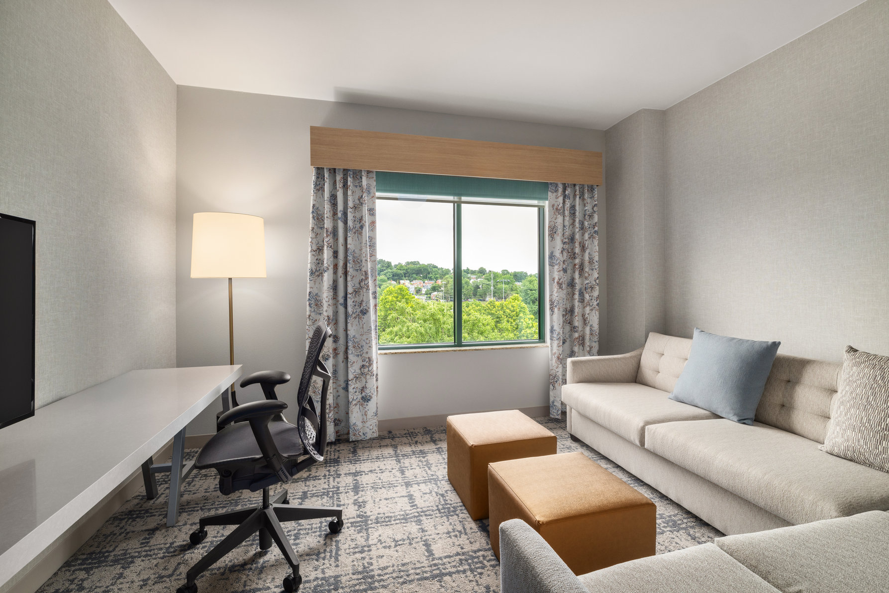 Hilton Garden Inn Arlington-Shirlington Room Type - 1 KNG SUITE HEARING ACC