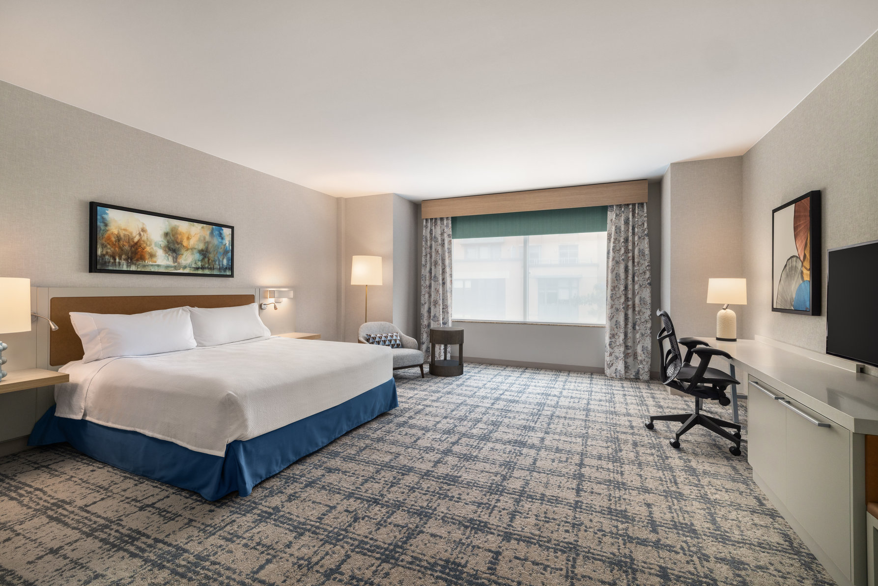 Hilton Garden Inn Arlington-Shirlington Room Type - 1KNG MOB HEARNG ACC RI-SHW