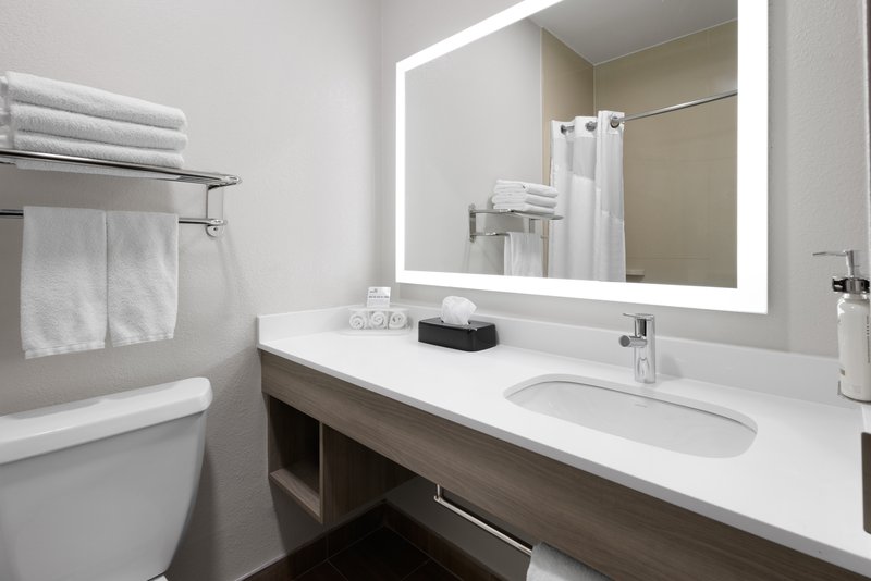 Holiday Inn Express and Suites Wyomissing