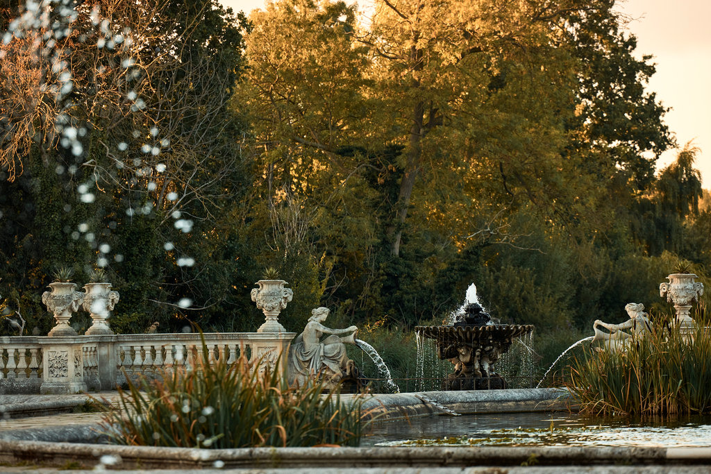 Guest photo