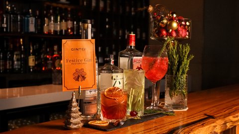 Festive Gin Masterclass
