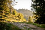 Arabella Alpenhotel am Spitzingsee, a Tribute Portfolio Hotel