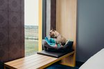 Aloft by Marriott Aberdeen TECA