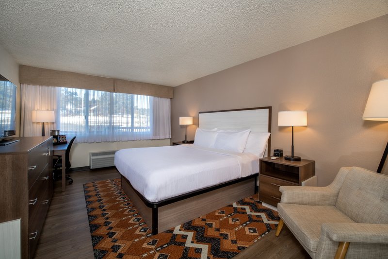 1 King Standard Mountain View Pet Friendly Building 1