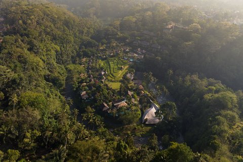 Surrounded by the Nature Beauty