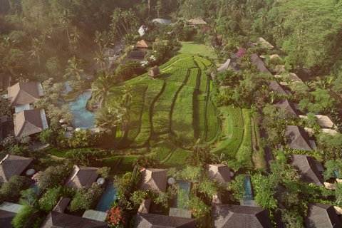 Resort - Aerial View