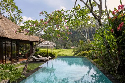 One Bedroom Pool Villa Ubud View