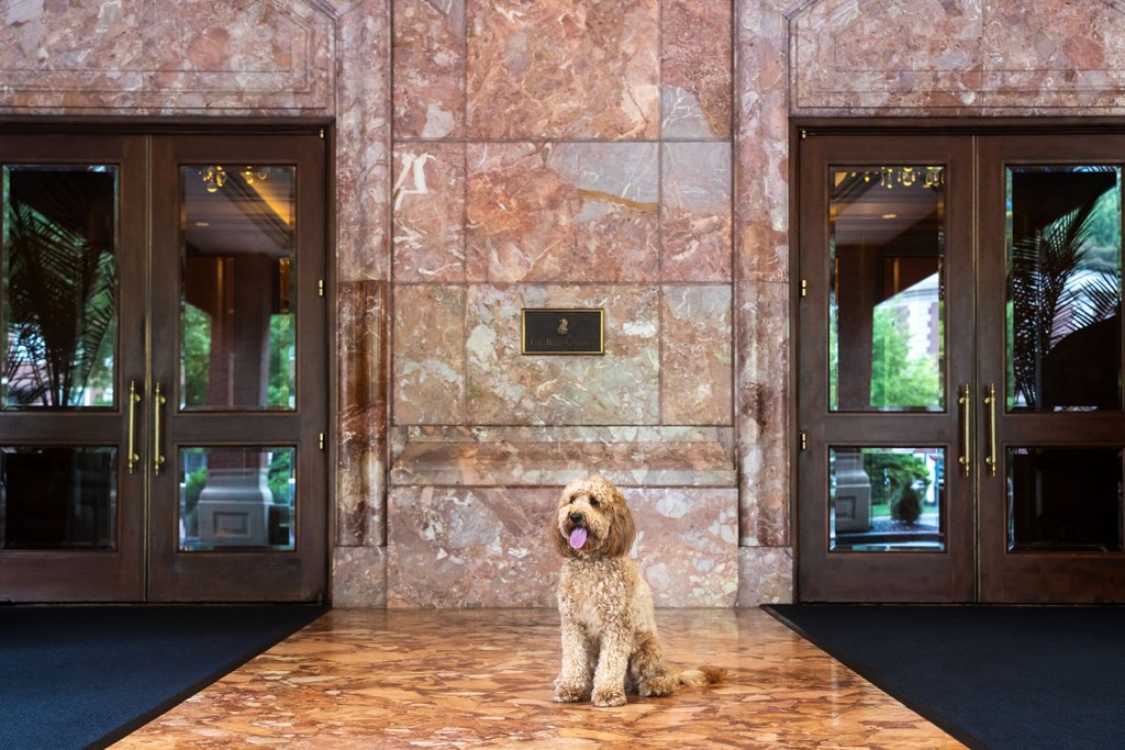 Guest photo