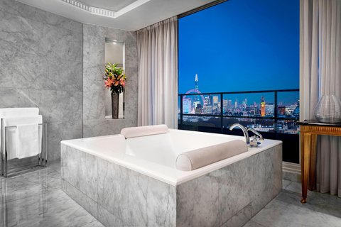 Royal Suite Bathroom – Shower/Tub