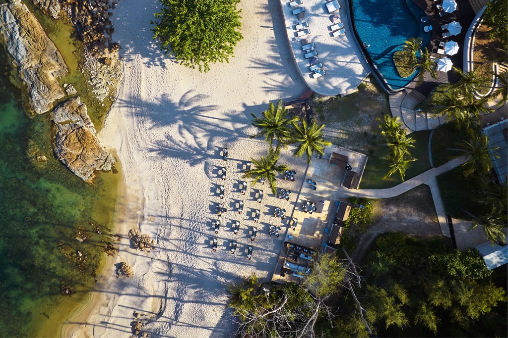 Guest photo
