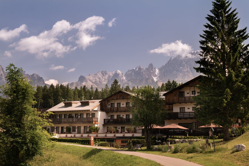 Guest photo