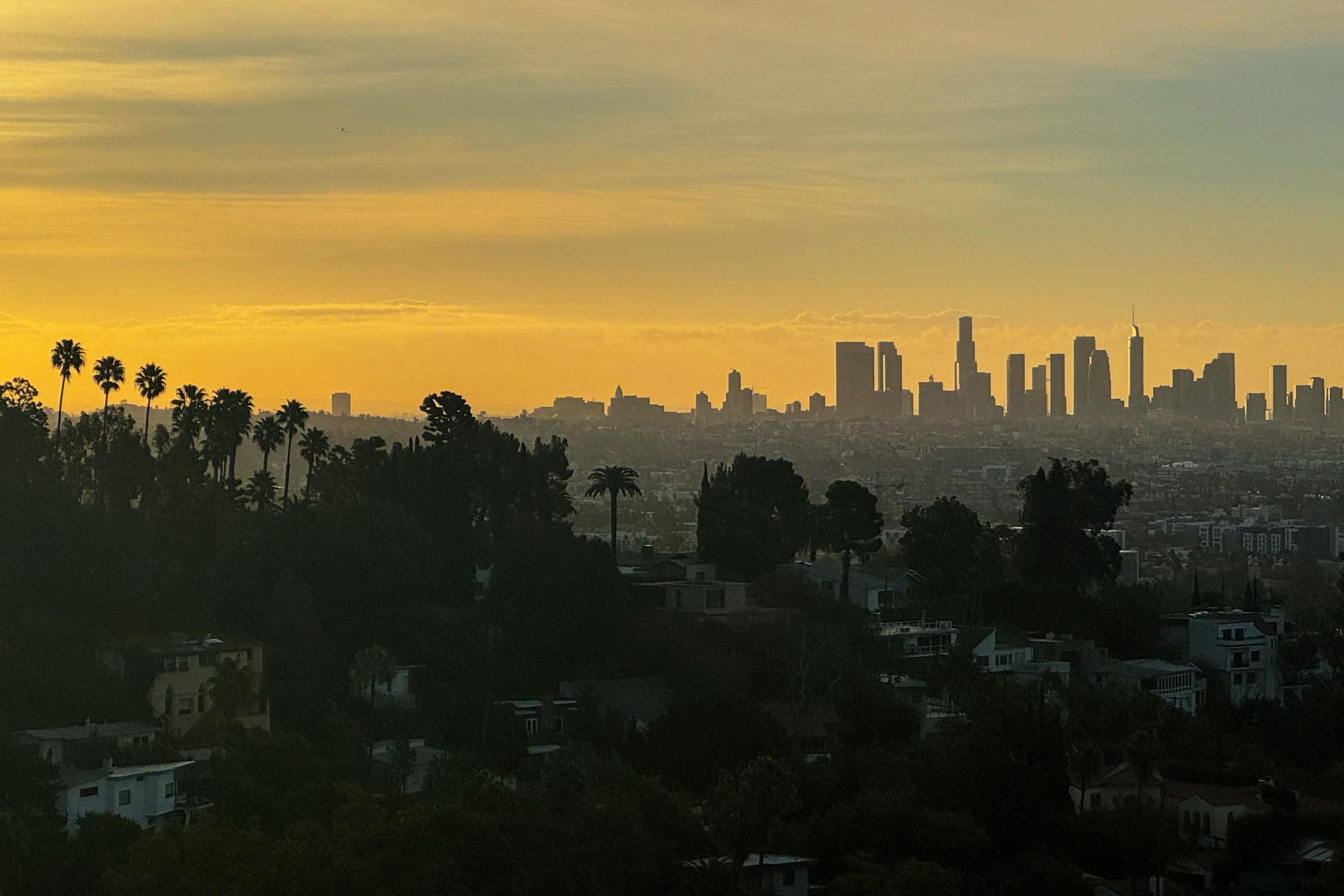 W Hollywood