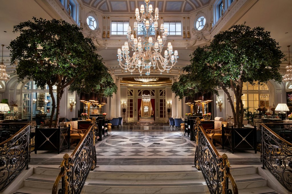 Guest photo