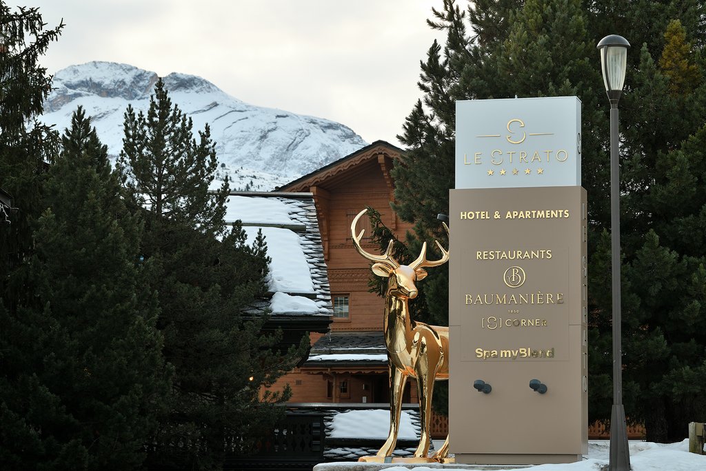 Guest photo