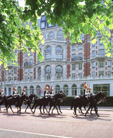 Famous horseguards passing by