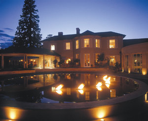 The Vineyard