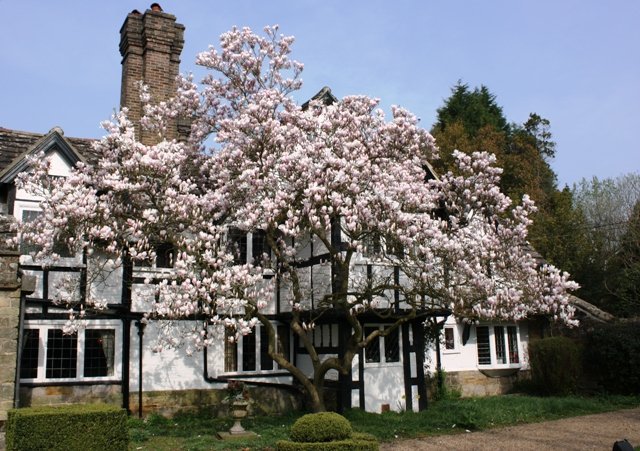 Ockenden Manor Hotel