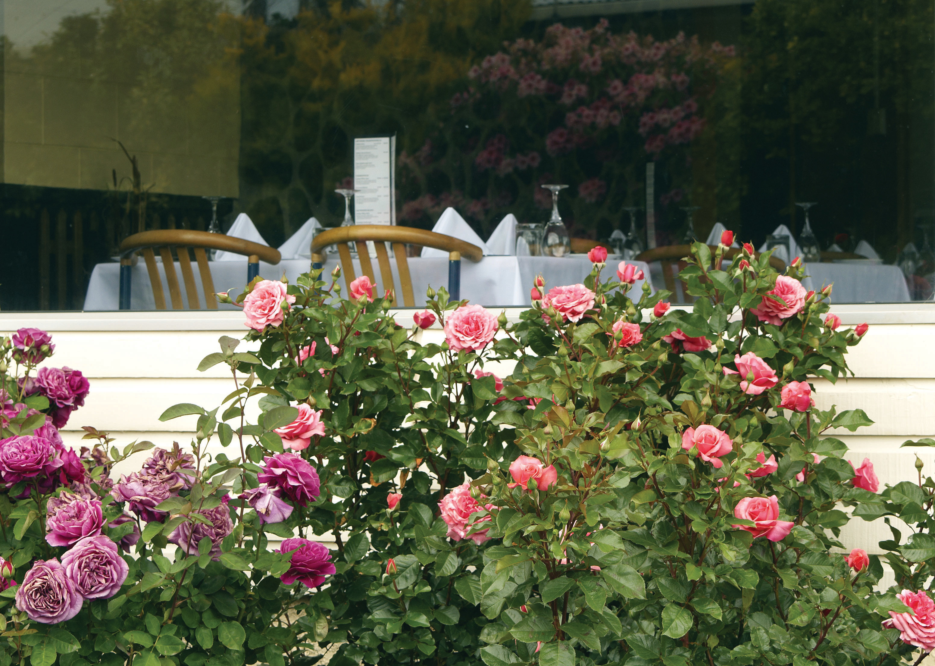 Kingsgate Hotel Te Anau