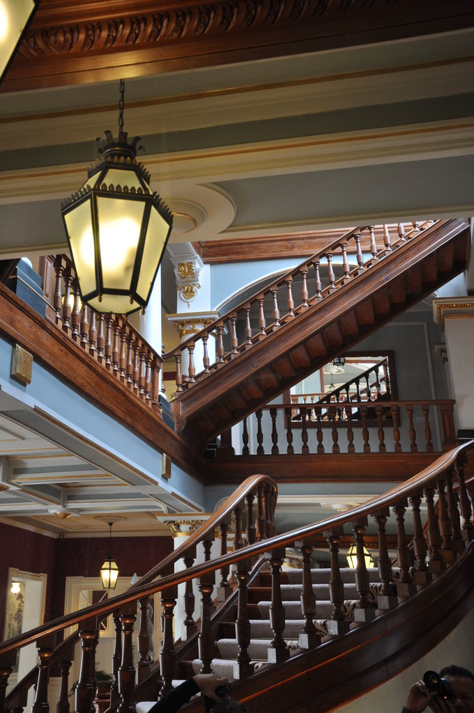 Guest photo