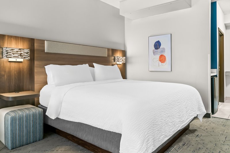 HOLIDAY INN EXP STES NOVI