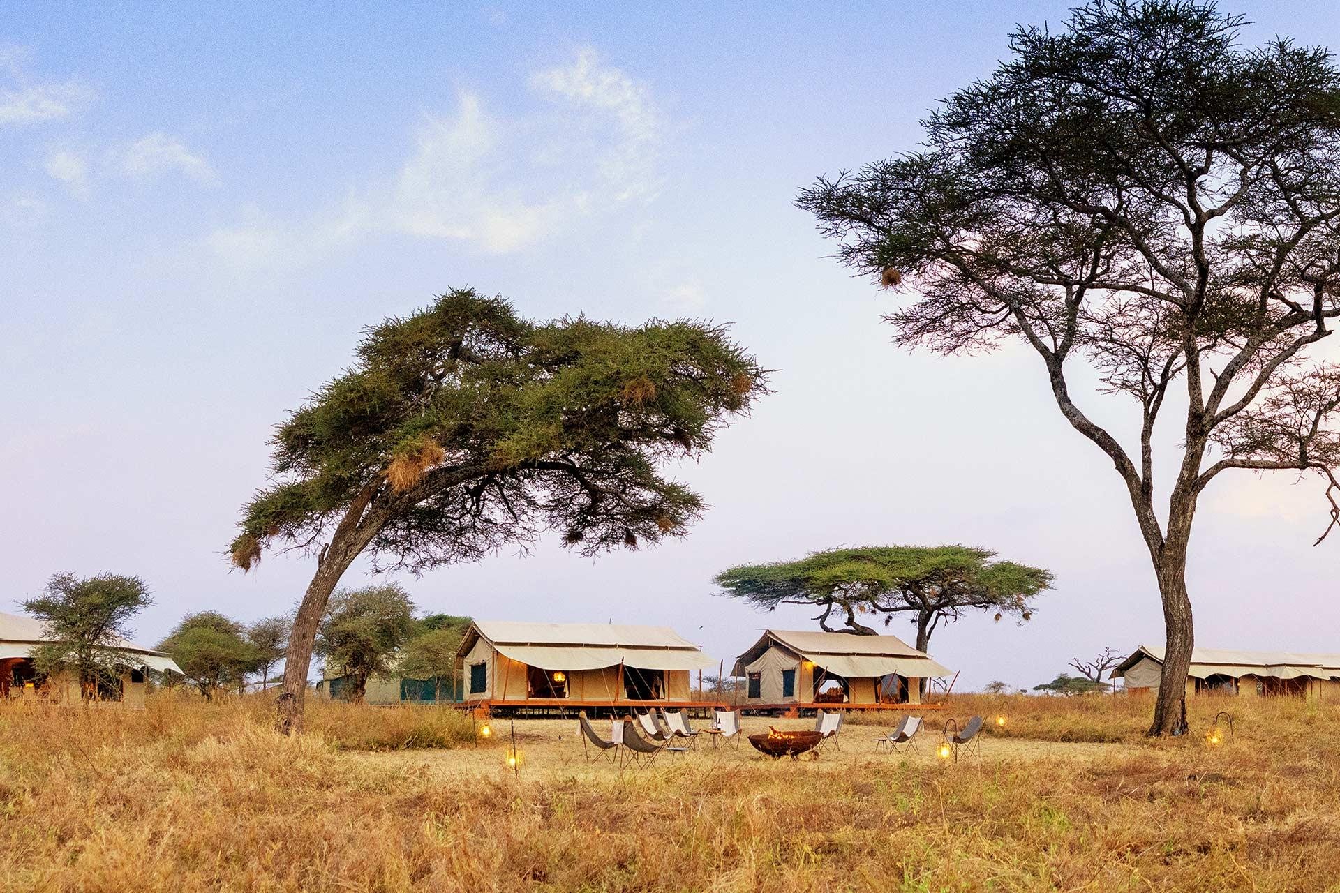 Singita Mara River Tented Camp