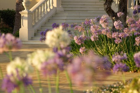 Gardens