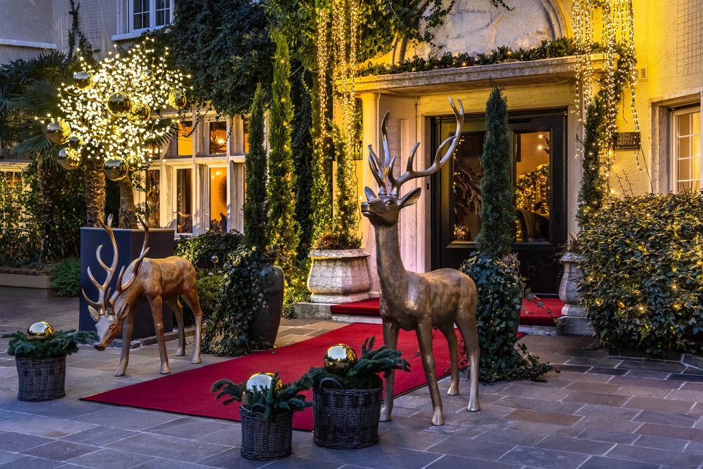Guest photo