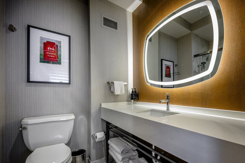 Hotel Indigo BATON ROUGE DOWNTOWN