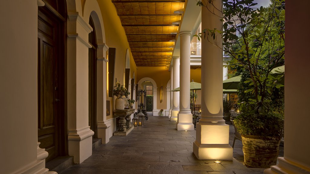 Guest photo