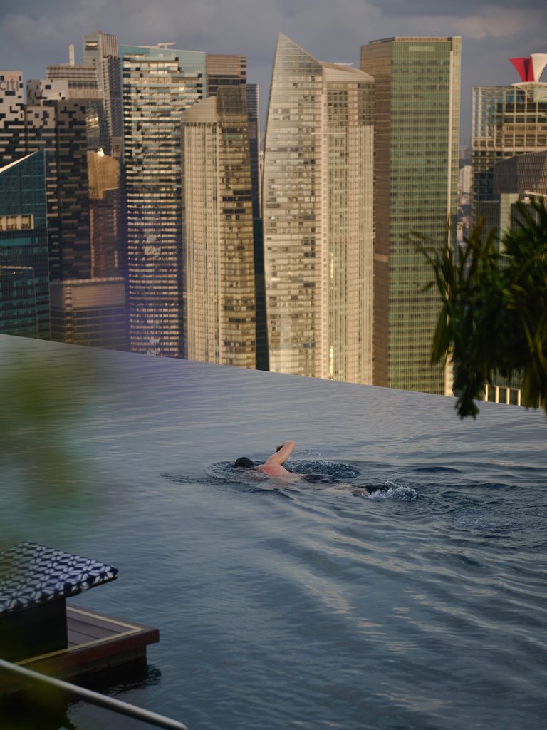 Guest photo