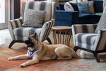 Aloft by Marriott Cleveland Beachwood