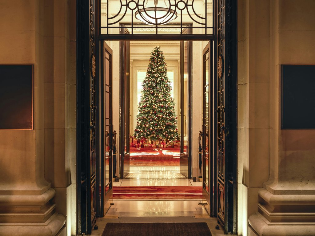 Guest photo