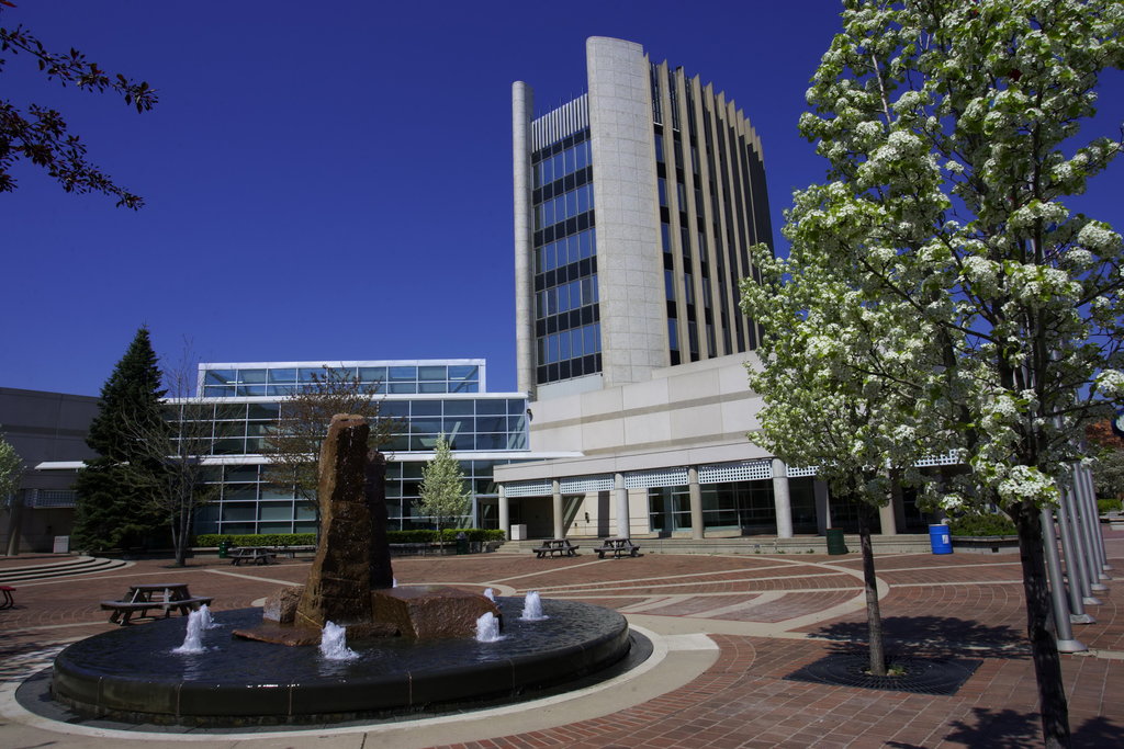 Candlewood Suites BURLINGTON CONFERENCE CENTRE, Grey