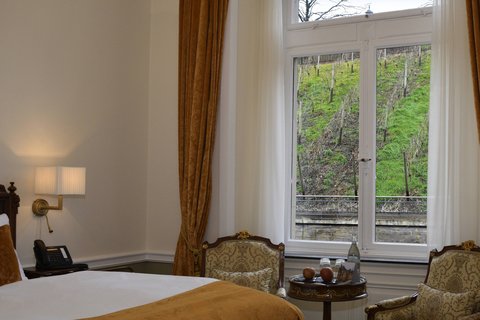 Vineyard View Guest Room - View