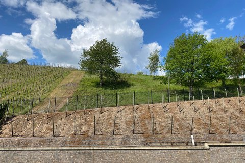 Guest Room Vineyard View