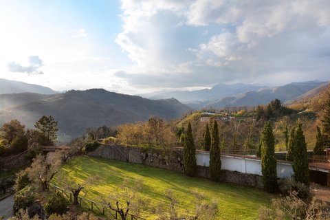 Suite - Valley View