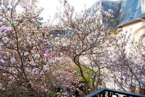 Magnolia Suite - Garden View