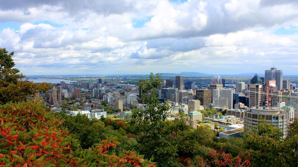 Conquer the mountain, embrace the Montreal panorama!