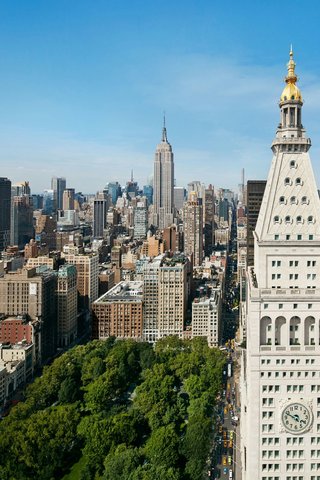 Skyline View