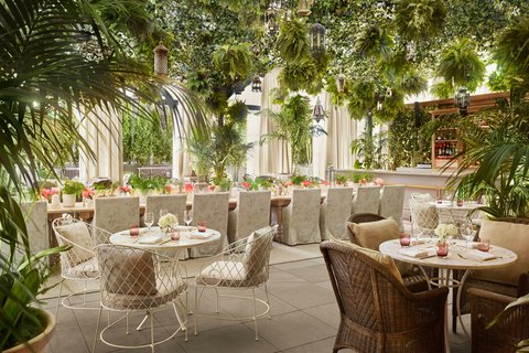 The Terrace and Outdoor Gardens