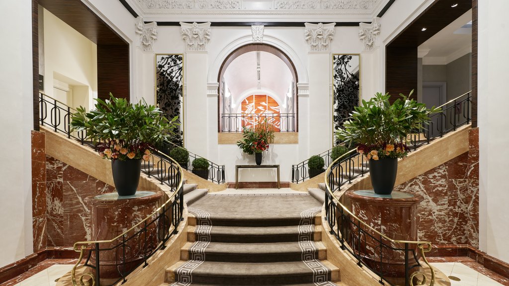 Guest photo