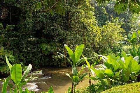 One-Bedroom River Front Pool Villa - View