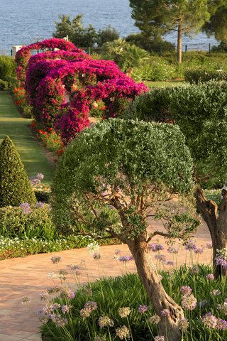 Gardens