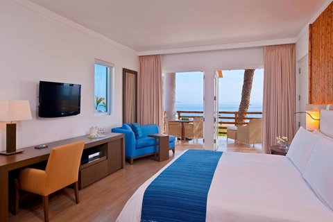 1 King Bed Guest Room