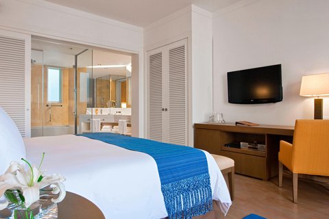 1 King Bed Guest Room