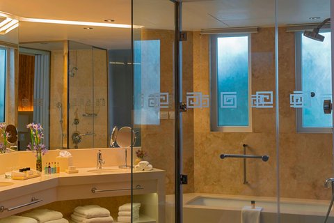 Guest Room bathroom