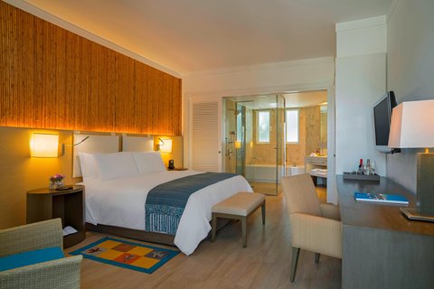 Suite Terrace Guest Room
