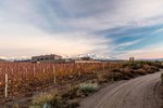 Auberge du Vin, a Tribute Portfolio Hotel, Tupungato