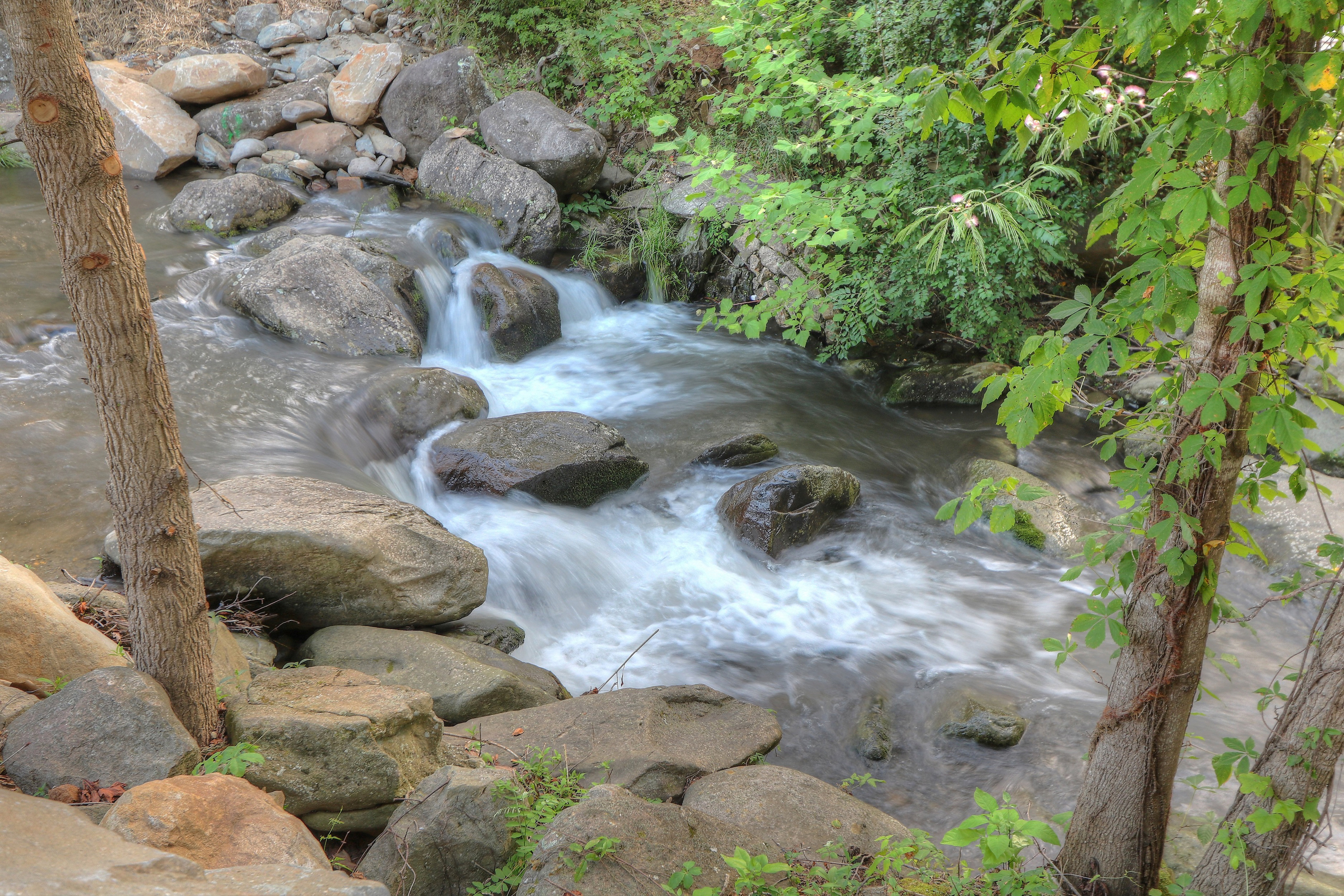 Hampton Inn Historic Nature Trail